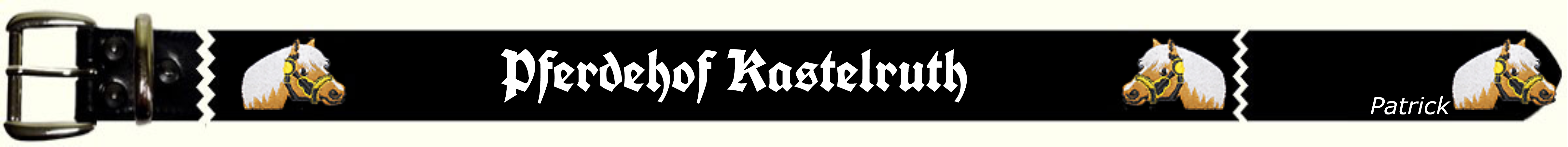 Pferdehof Kastelruth - Patrick